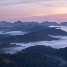 Sunrise in the Palatinate Forest by Anselm Ziegler Photography