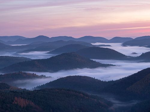 Zonsopgang in het Pfälzerwald
