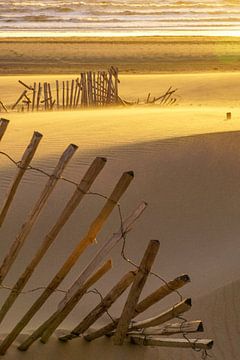 Strandleven! van Dirk van Egmond