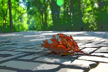 Fallen leaves in the forest haagsche