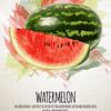 Fruities Watermelon by Sharon Harthoorn