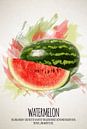 Fruities Watermeloen van Sharon Harthoorn thumbnail