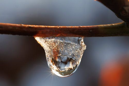 Defrosting Droplet