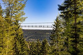 De WildLine-hangbrug in Bad Wildbad in het Zwarte Woud van Werner Dieterich