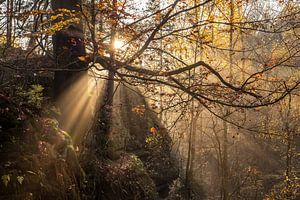 Kleinhennersdorfer Stein in der Sächsischen Schweiz - Sonnenstrahlen