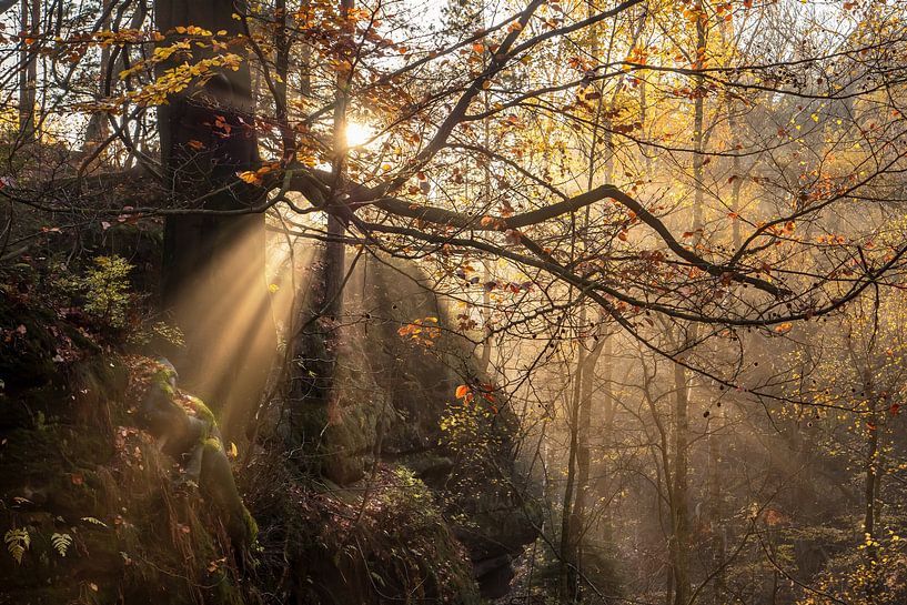 Kleinhennersdorfer Stein in der Sächsischen Schweiz - Sonnenstrahlen von Pixelwerk