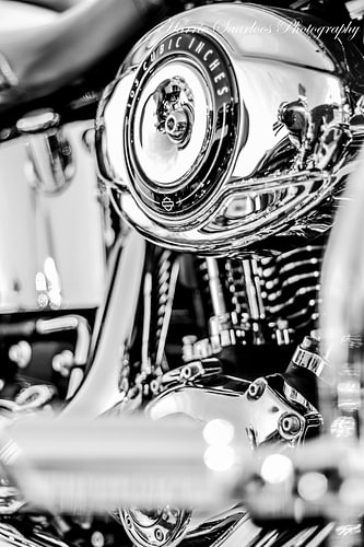 Harley Davidson