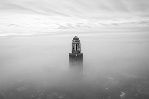 Pfefferdose im Nebel Schwarz-Weiß