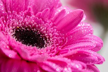 Die Hälfte von dir II