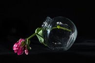 Tulpen von Govert Govers Miniaturansicht