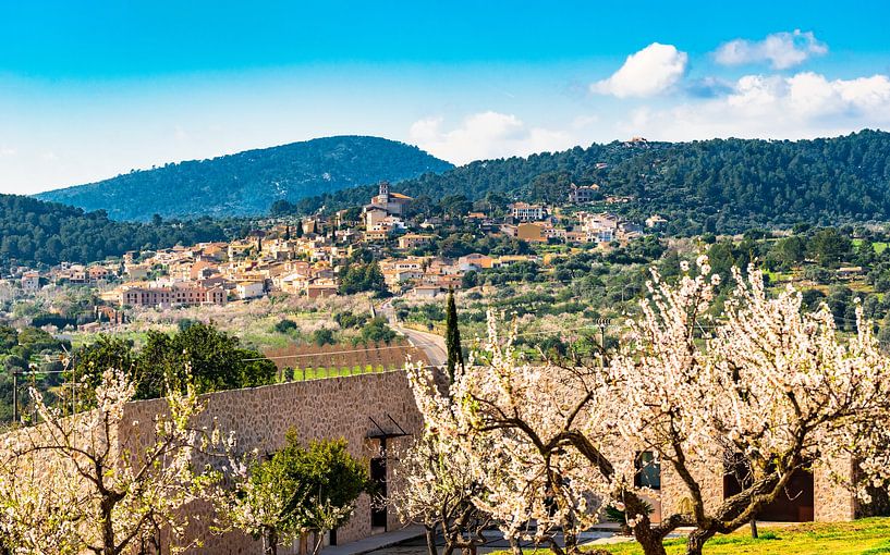 Idyllisch uitzicht op Selva in een prachtig lentelandschap op Mallorca van Alex Winter