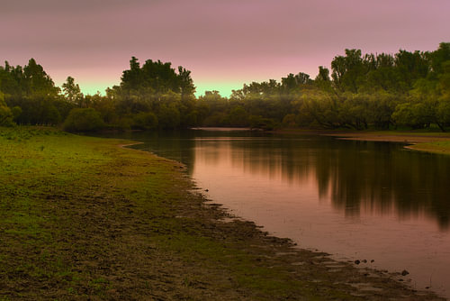 Stille oever