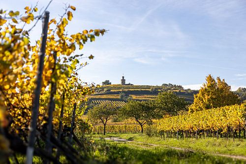 Blick auf die herbstlichen Weinberge und den Flaggenturm (Kaffeemühlchen) in Bad Dürkheim