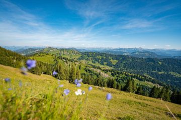 Bloemrijk uitzicht vanaf de Hochgrat richting Allgäu van Leo Schindzielorz