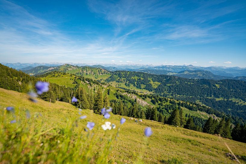 Flowery view from the Hochgrat towards Allgäu by Leo Schindzielorz