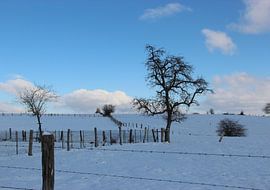 Paysage de neige sur Wilma Overwijn