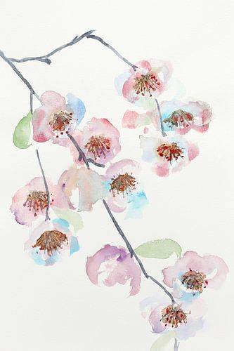 The blossom branch (cheerful watercolor painting flowers plants beautiful soft pastel colors spring 