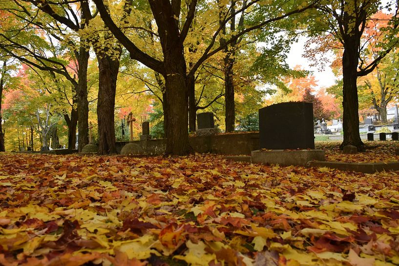 Ein Friedhof im Herbst von Claude Laprise