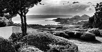 Paradise in black and white - panorama