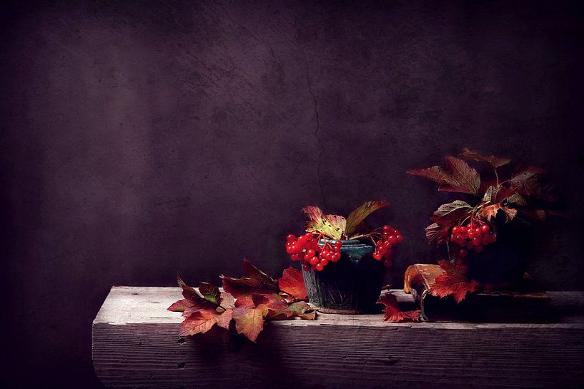 old-style autumn scene... by Els Fonteine