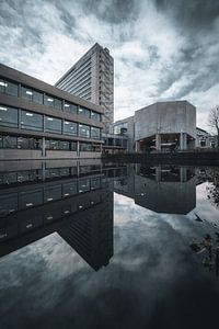 Erasmus Universiteit Rotterdam Reflectie van vedar cvetanovic
