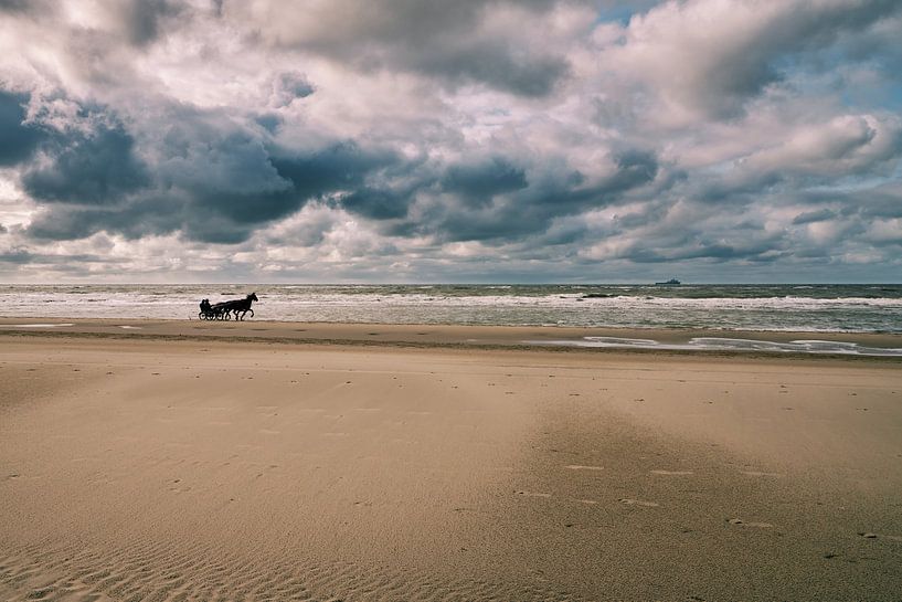 Paarden op het Noordzeestrand van eric van der eijk