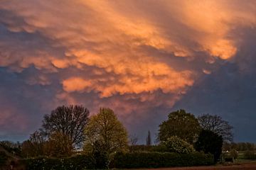 Rode vlammenzee boven zomers landschap