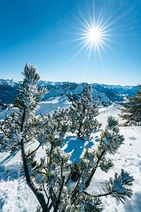 Vue hivernale sur la vallée du Lech sur Leo Schindzielorz