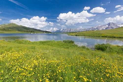 Bettmersee near Bettmeralp in Valais Switzerland