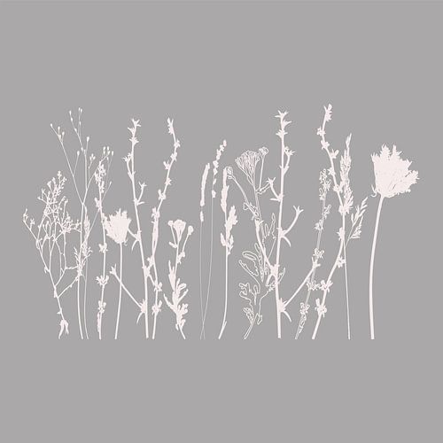 Moderne Botanische Kunst. Bloemen, planten, kruiden en grassen in grijs en wit nr. 1