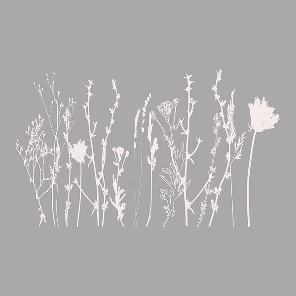 Modern Botanical Art. Flowers, plants, herbs and grasses in grey and white no. 1 by Dina Dankers