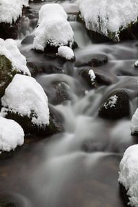 Bach im Winter