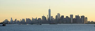 Manhattan skyline in de ochtend gezien vanaf Staten Island, panorama