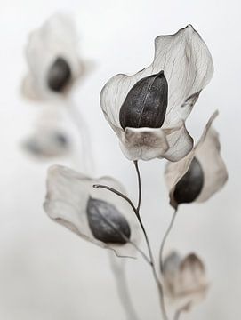 Bloemendetail droog nr. 12 van Treechild
