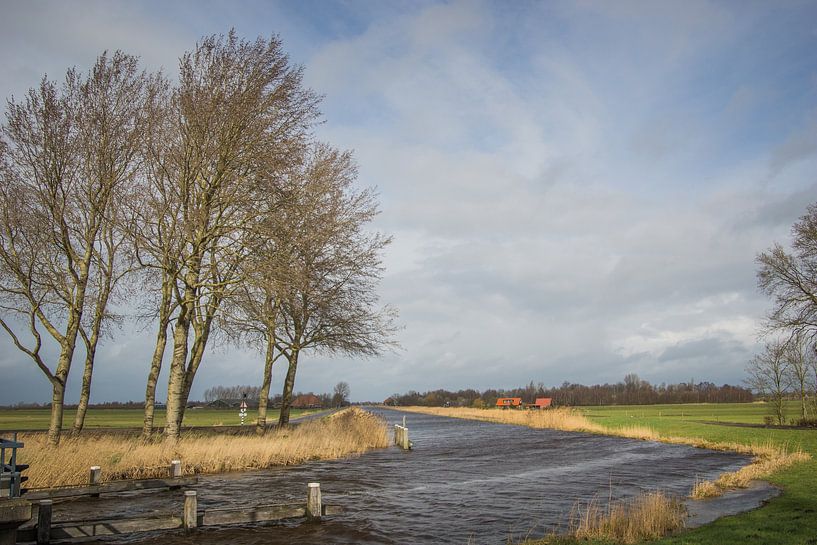 Friesland van Wolbert Erich