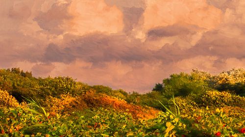 Lumière du soir sur la terre