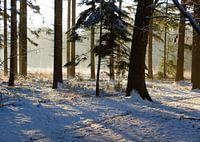 Winterlandschap