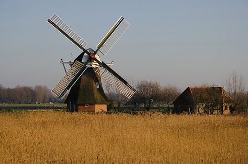 Noordermolen Groningen