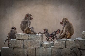 I've got you by the tail