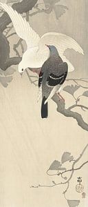 Ohara Koson - Zwei Tauben auf einem herbstlichen Zweig (bearbeitet)