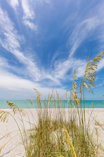 Hemelse stilte op het strand