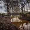 Bridge over troubled water van Ronald Westerbeek