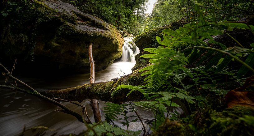 Hidden Beauty by Sake van Pelt