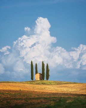 Small abandoned church with cypress trees, Tuscany by Stefano Orazzini