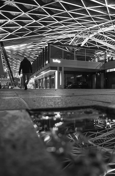 The traveler by Frederike Heuvel