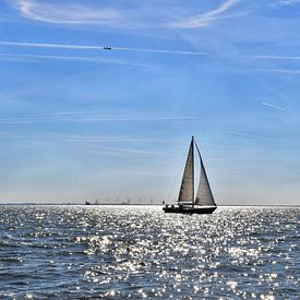 Segelboot, IJsselmeer . An einem schönen Sonntagnachmittag mit viel Sonnenschein und gutem Wind. von Branka Fisic