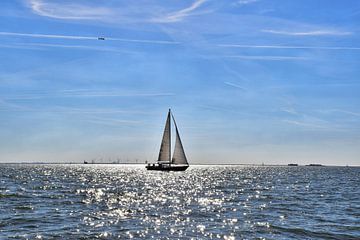 Sailing boat, IJsselmeer . Op een mooie zondagmiddag met veel zon en fijne wind. van Branka Fisic
