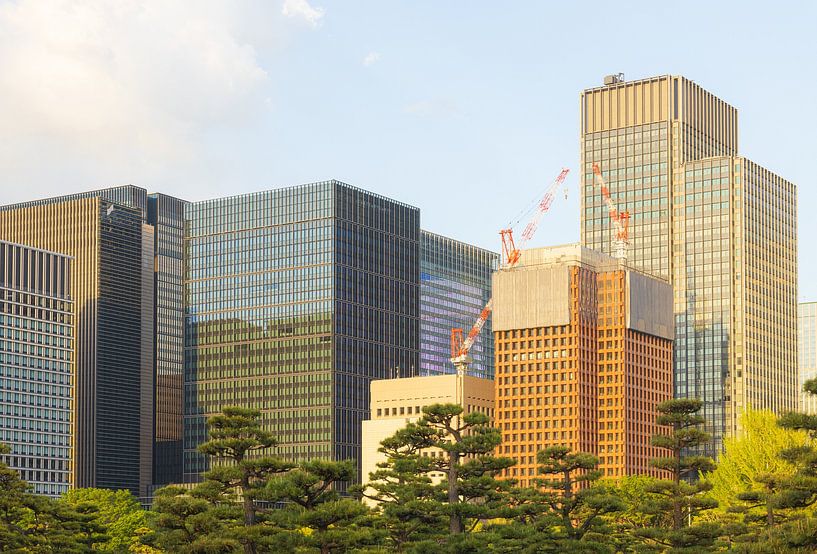 Tokyo Imperial Palace and National Garden Kokyo (Japan) by Marcel Kerdijk