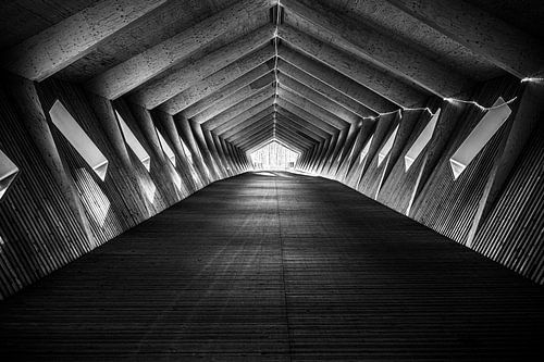 Houten constructie over Vierarmen kruispunt, Tervuren, België van Werner Lerooy