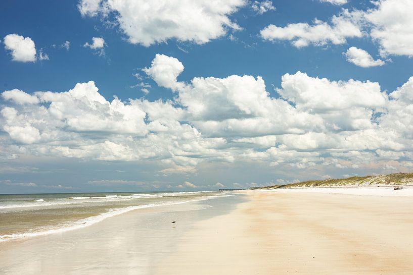 Anastasia-strand bij Saint Augustine in Florida van Alexander Ließ